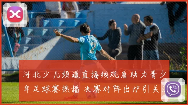 河北少儿频道直播线观看助力青少年足球赛热播 决赛对阵出炉引关注