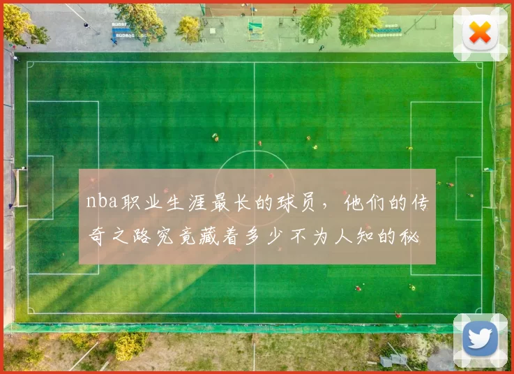 nba职业生涯最长的球员，他们的传奇之路究竟藏着多少不为人知的秘密？