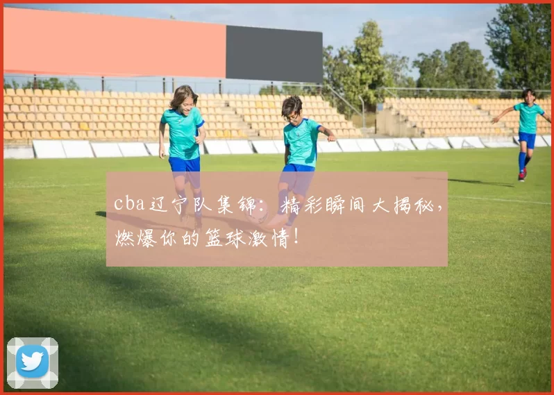 cba辽宁队集锦：精彩瞬间大揭秘，燃爆你的篮球激情！