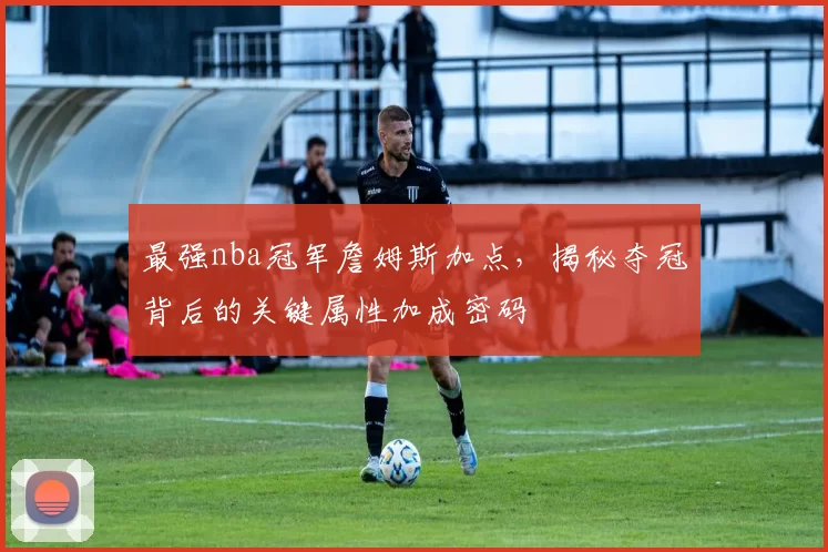 最强nba冠军詹姆斯加点,揭秘夺冠背后的关键属性加成密码