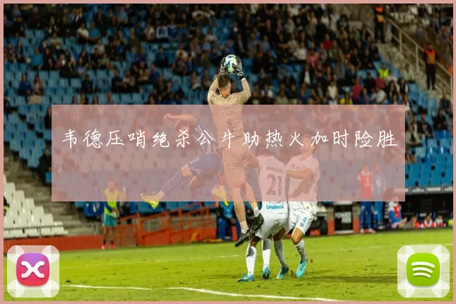 韦德压哨绝杀公牛助热火加时险胜