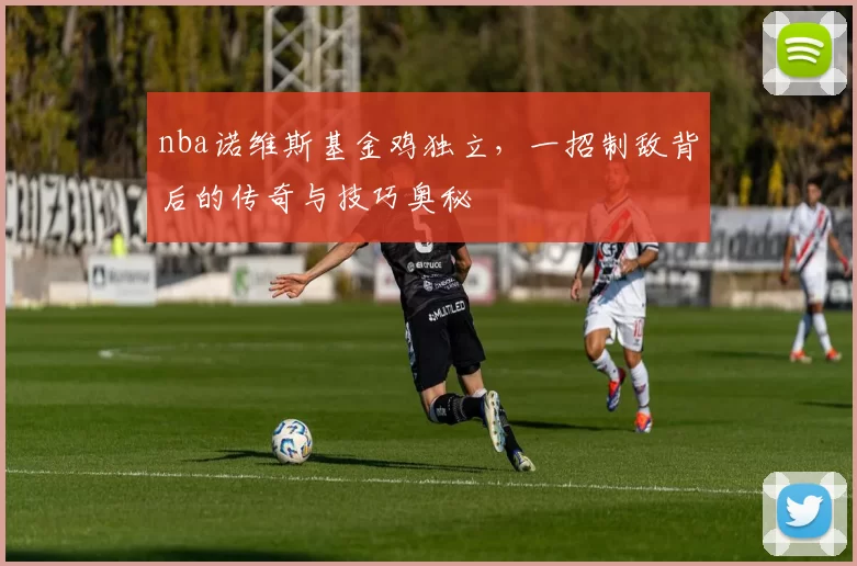 nba诺维斯基金鸡独立，一招制敌背后的传奇与技巧奥秘