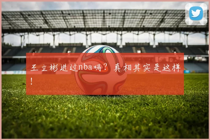 王立彬进过nba吗？真相其实是这样！