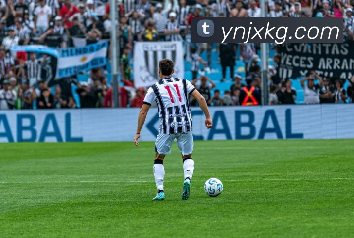 开云(中国)Kaiyun·官方网站 - 科技股份有限公司平台生态图