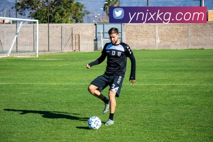 开云(中国)Kaiyun·官方网站 - 登录入口平台生态图