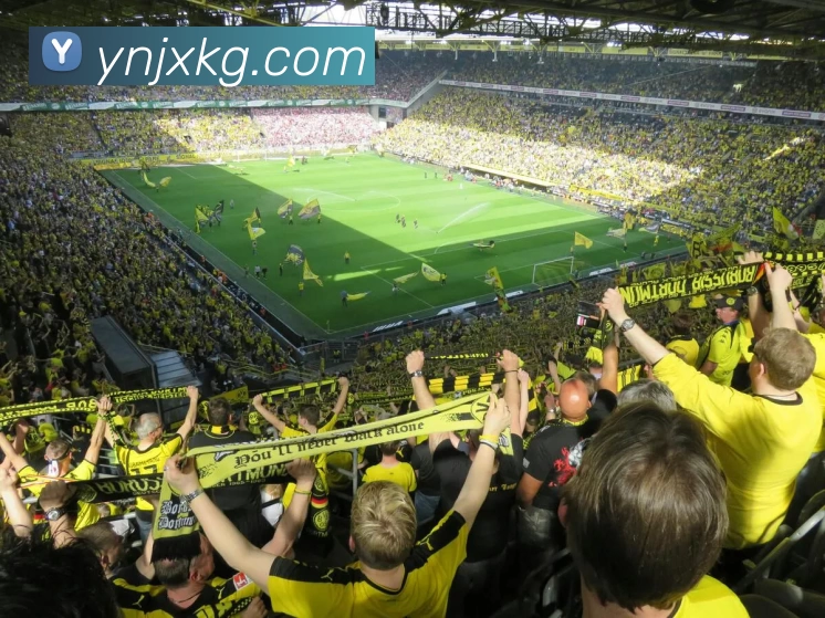 开云(中国)Kaiyun·官方网站 - 登录入口APP 封面图