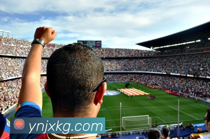 辅助工具
